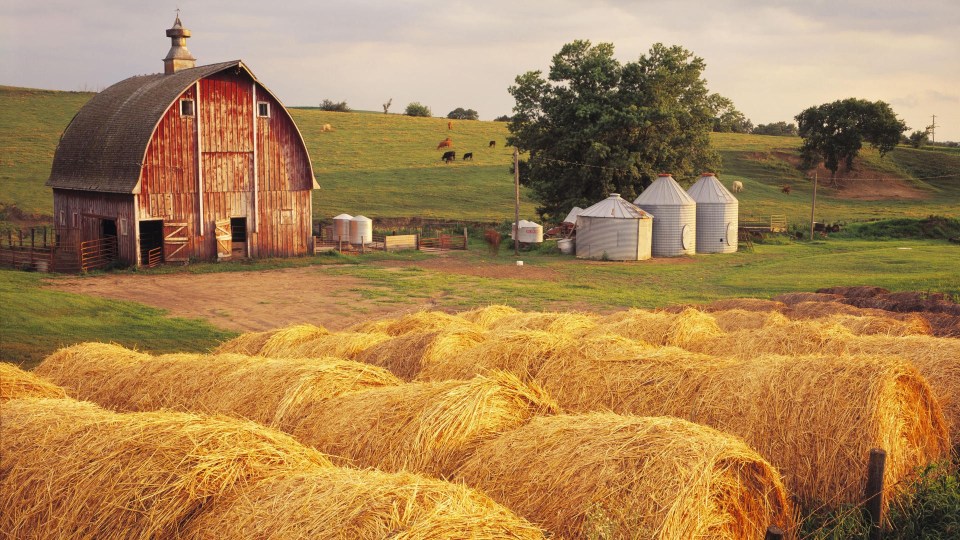 Bales of hay on an Iowa farm: Americans have the freedom to live wherever we want, to own a small business, to march to our own drummer and dance to our own tune.
